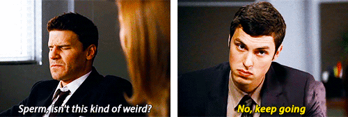 carisixrollins:  It’s quite simple. Whatever Agent Booth says, you respond with whatever word or phrase pops into your head, and vice versa. 