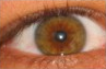 I Know Charlie Is Stated To Have Brown Eyes In The Book, But I Like To Imagine Mine Has Dark Hazel, Or