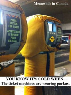 eevachu:  pleatedjeans:  Meanwhile…in Canada (24 Pics)  Real talk tho, during the last Winter Olympics, I had college classes during both the women’s and men’s hockey finals for the gold and in both classes (different teachers) we livestreamed the