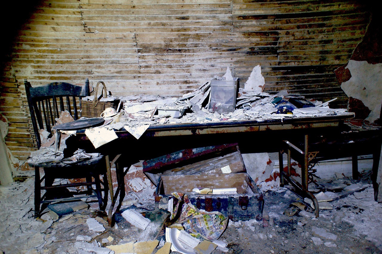 red-queen-to:  The House of BooksLost Guest House, left empty for more than 20 yearsFilled