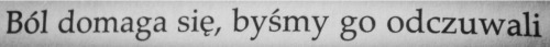 dyingnun.tumblr.com/post/89473086732/