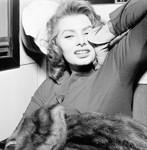 Porn Pics avagardner: Sophia Loren sleeps inside a