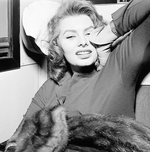 avagardner: Sophia Loren sleeps inside a train on her way to visit US Military, 1950.