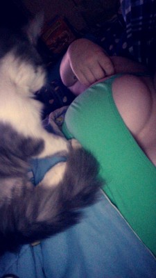 sierra–brooke:  kitty loves titties.