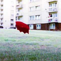kaynibbler16:  where-is-my-tennant:  pair—a—docs:  They were in the same complex, maybe even the same flat, cause Rose and Jackie’s is now vacant, just years apart    