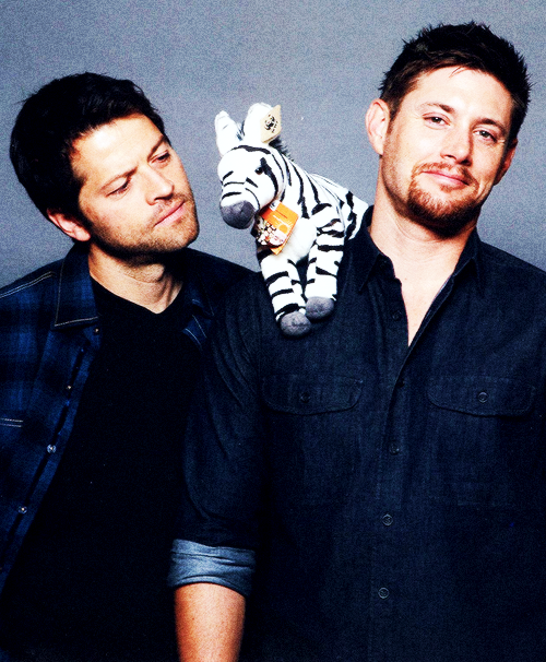 supernaturaldaily:  “The scenes we’ve [Jensen and I] had together, there’s something that clicks, and they’re easy, the way we interact with each other. I don’t know why, but there’s always a certain intensity, a quiet intensity that organically