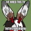 rabbitdogthing