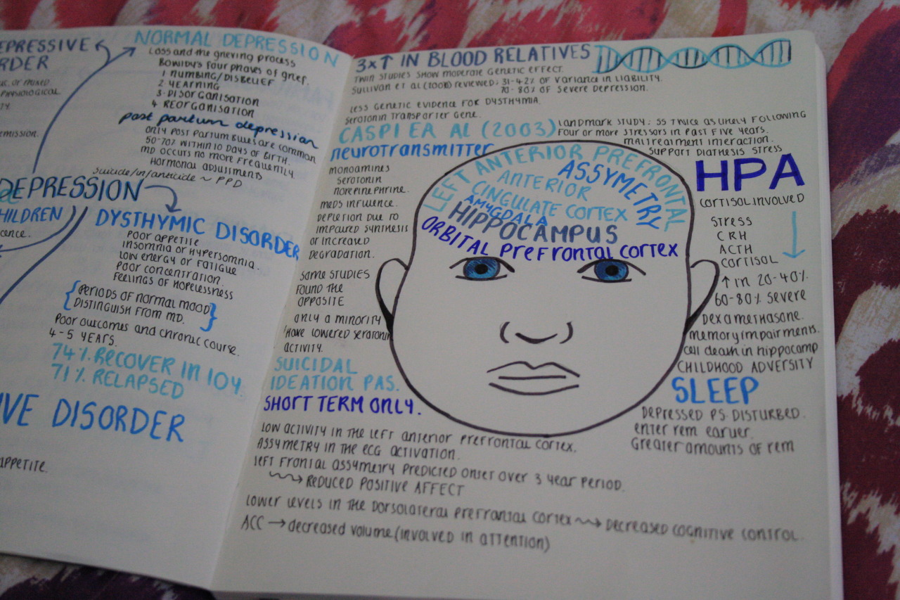 study-well:  I decided to make more graphic notes and mind maps. I think this is