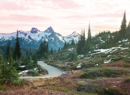 destinydiamante:anthony-samaniego:paradise instagram x