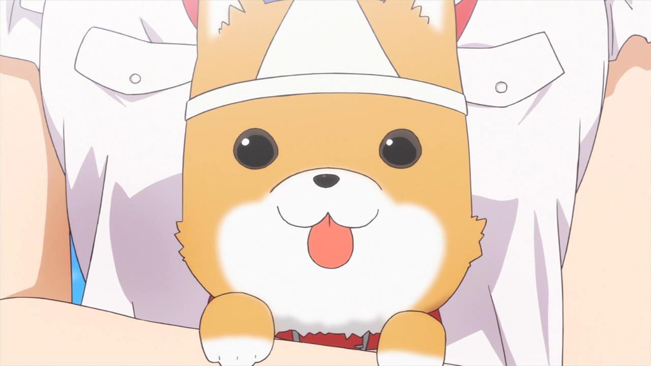 Gakkou gurashi dog