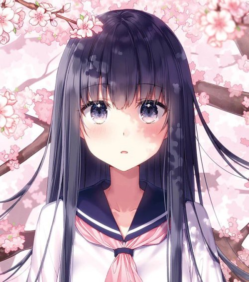 shima_je: &ldquo;#さくらの日 #桜 t.co/n1VM6V9n8f&rdquo;