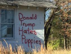 destroyed-and-abandoned:  Donald Trump Hates Puppies. 