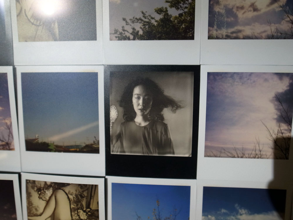 tokyo camera style - Seen: 「淫冬 IMTOU」 Who: Nobuyoshi Araki Where:...