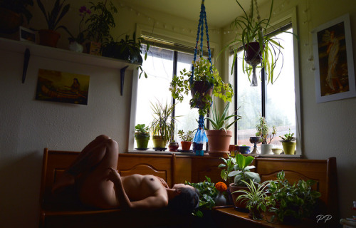 peachypersici: Give me a day alone to find a quiet spot &amp; bloom.Self Portrait study 7.1.18(K