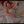 yourlittleharmonicaishammered:  MY ANACONDA…  MY ANACONDA…  MY ANACONDA…  
