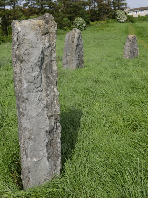 Llangefni Eisteddfod Stone Circle, Anglesey, North Wales, 13.5.17. A modern stone circle that is now