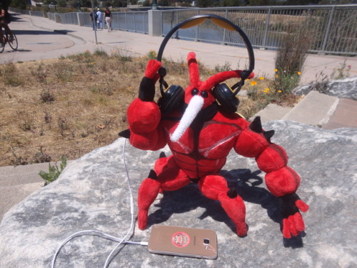 sqishyrina: Just finished making a Buzzwole plush! He took quite a while, and has a LOT of fine deta