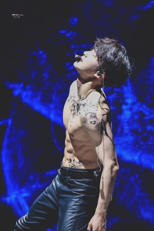fuckyeah-exoarmpithair:(╯｡◕‿◕｡）╯︵(credit) 1 2 3 4