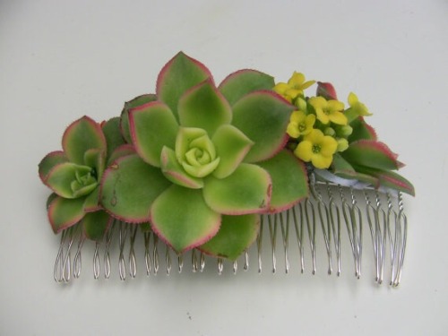 otherkinfashion:  Succulent Hair Comb // ฦ