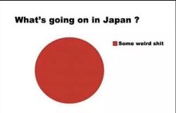 Pretty accurate right guys? #Japan #WeirdShitForDays