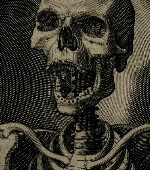 abinferis: Egbert van Panderen 