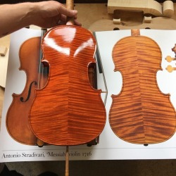 violins:Me VS Strad