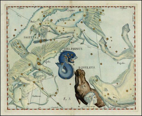Delphinus and Equuleus constellations, from Firmamentum Sobiescianum, sive Uranographia, part of Pro