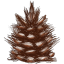 snowypinecone