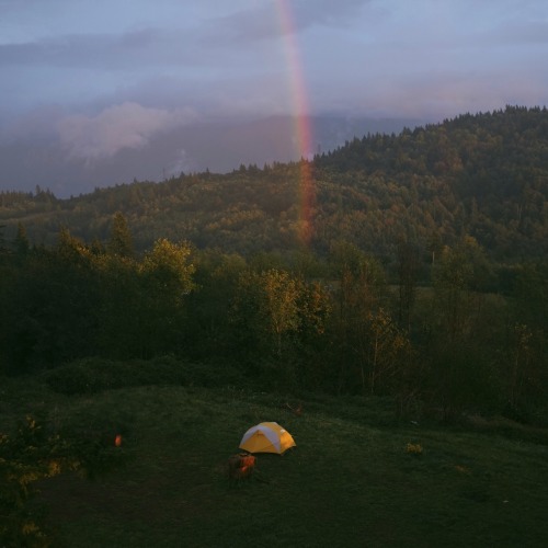 thecindercone:Pot of gold