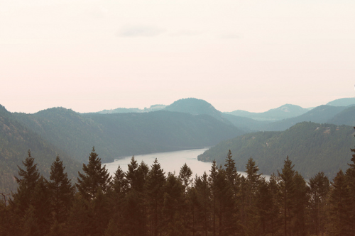 oh-hello-autumn:  Vancouver Island, August 