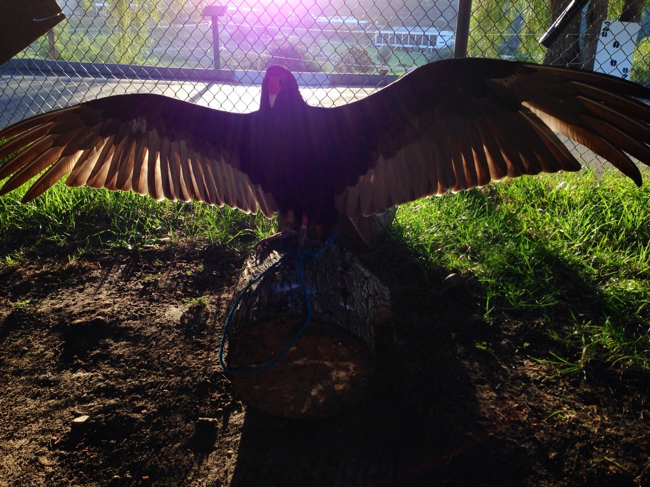 micromys:  Someone is looking particularly celestial this morning.