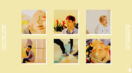 half:  So baby, can I be your boyfriend, can I?(EXO-CBX: 花요일 Blooming Day,