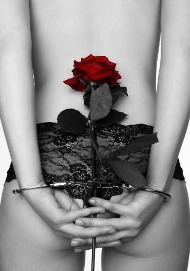 Quello che cerchi