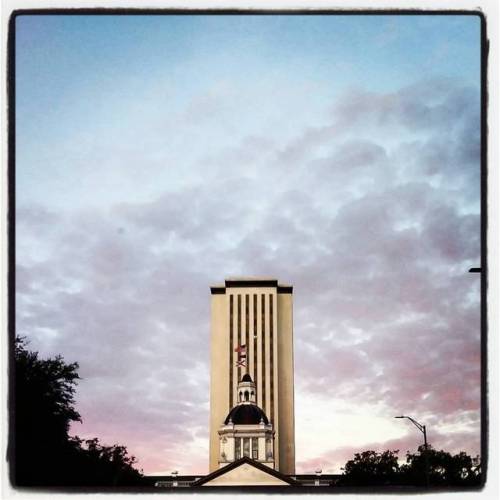 Good morning and happy Wednesday! I love when we get a cotton candy sky, don&rsquo;t you? #talla