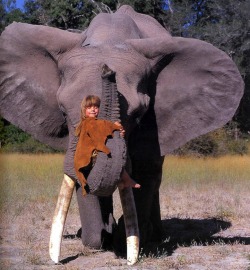 collectionofmemoranda:  escapekit:   Best Friends    Born in Africa to French wildlife photographer parents, Tippi Degré had a most unusual childhood. The young girl grew up in the African desert and developed an uncommon bond with many untamed animals