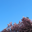 anaffintyforblue
