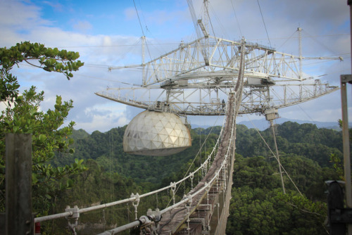 Arecibo ObservatoryThe Arecibo Observatory is a radio telescope in the municipality of Arecibo, Puer