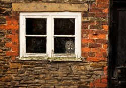 wonderous-world:  Gandalf the Great Grey Owl gets scared of going outside and flying out in the open so his owners at Knowsley Safari Park have built his aviary inside a brick shed.  He now spends his days watching the world go by out of his window.