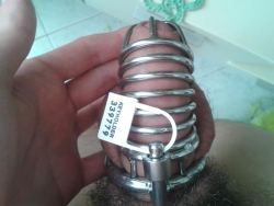 teenboylocked:  I really like being locked up! I hope I’ll find another boyfriend who will keep my dick caged - actually I hope my ex b/f will come back but I know it won’t happen.  