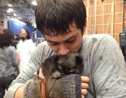 HAPPY B I R T H D A Y TO AMAZING AMUSING AWKWARD HOT RESILIENT CUTE GIRLS DAYDREAM DYLAN O'BRIEN