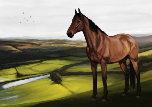 Commission for the lovely @perfect-seat of her friend’s mare, Missy. This was a lot of fun to do and