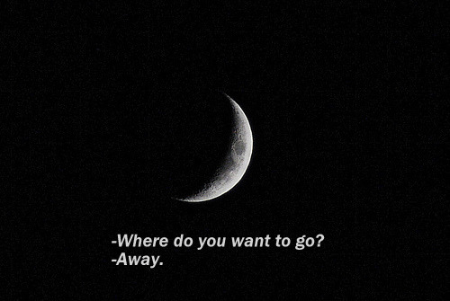 ✨