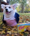 scampthecorgi:Flashback to the ‘80s and porn pictures