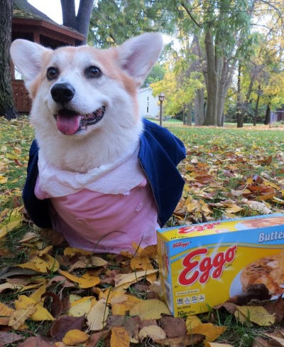 XXX scampthecorgi:Flashback to the ‘80s and photo