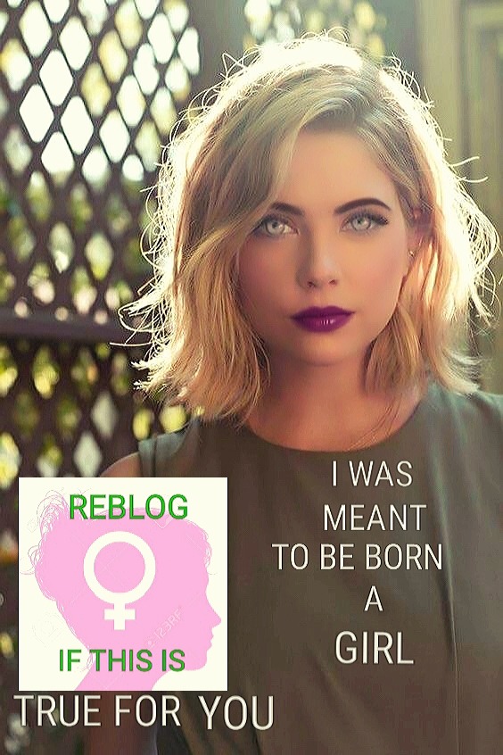 trankimberlyann:  steviesweet:  penelope1day:pastel-penny-honey:  I clearly was.
