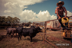 didyouseethewind:  Jaripeo, mexican rodeo,