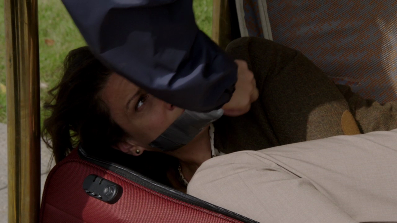 demoisellesendetresse: Nurit Monacelli in The Blacklist