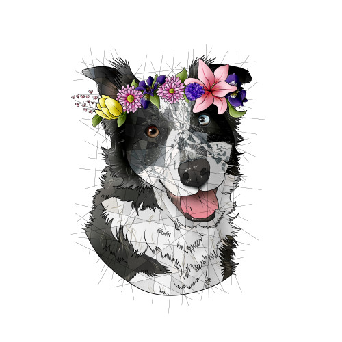 Zeta the dog for @azcrowleyfell with and without a flower crown, plus the smooth ad on :)Zeta: Socie