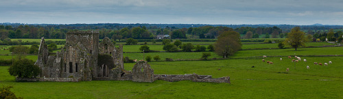 Ruined Church on Flickr. Via Flickr: Just down the hill and across a field from the Rock of Cashel s