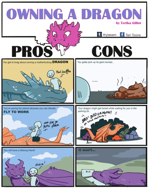 omg-images: [OC] Pros and Cons of dragon ownership